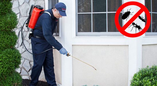 Evka 4 Dezenfeksiyon böcek ilaçlama ve haşere kontrolü — ilaclama-tr.com